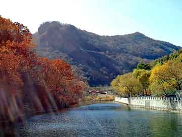 澳门精准正版免费大全14年新，丁腈橡胶板